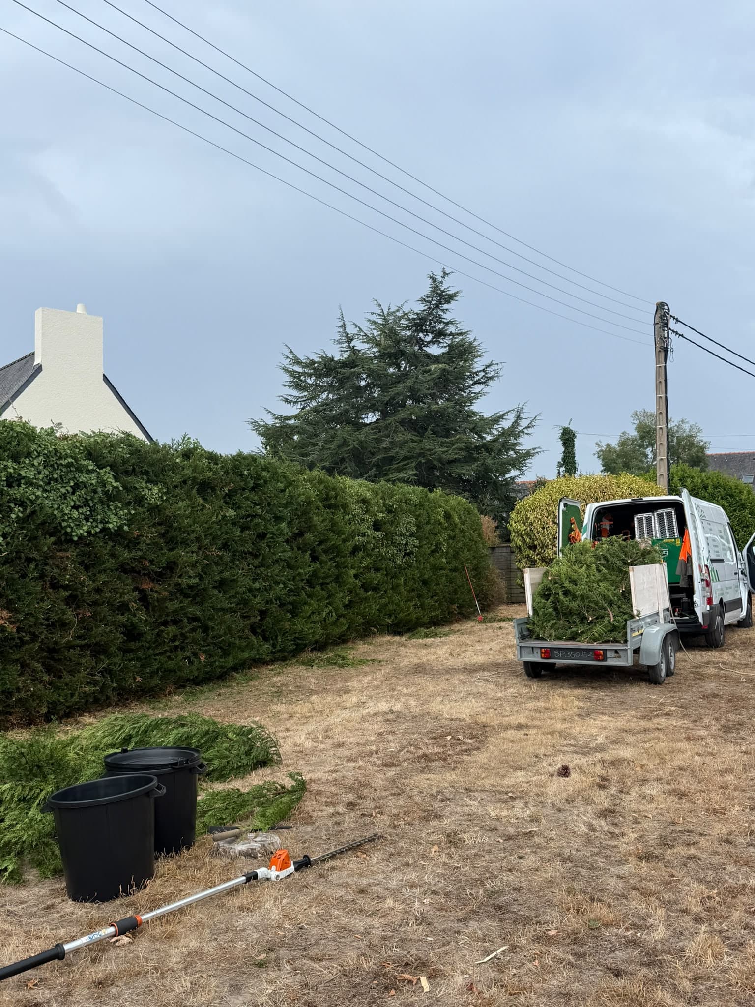Chantier d'élagage MarioÉlag près de Gestel